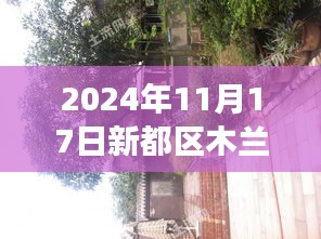 2024年11月17日新都区木兰镇最新发展动态