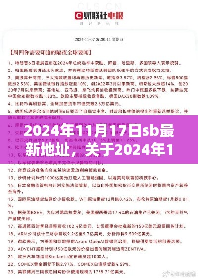 2024年11月17日sb最新地址评测与介绍，风险警告及注意事项