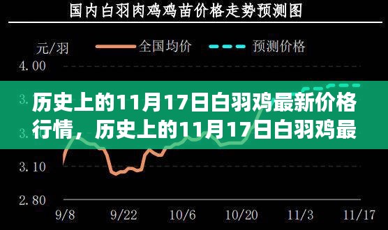 历史上的11月17日白羽鸡价格行情解析，深度透视市场走势与最新价格动态