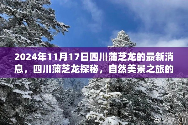 四川蒲芝龙探秘之旅，自然美景新篇章启程于2024年11月17日