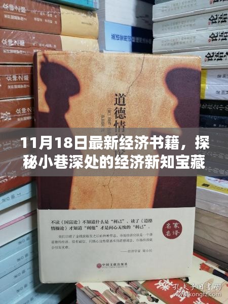 探秘小巷深处的经济新知宝藏，11月最新经济书籍发布与一览