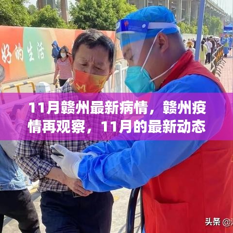 赣州疫情最新动态，11月疫情观察与深远影响分析