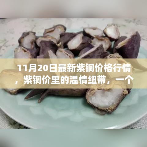 11月20日最新紫铜价格行情，紫铜价里的温情纽带，一个关于友情与陪伴的秋日故事