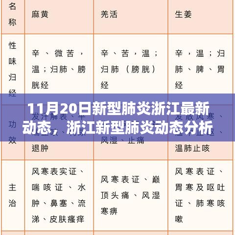 11月20日新型肺炎浙江最新动态，浙江新型肺炎动态分析，聚焦11月20日最新进展