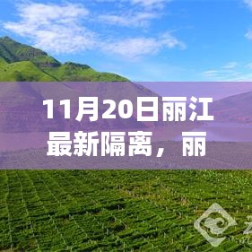 广告纸抽 第14页