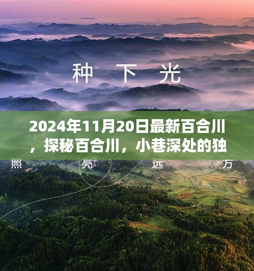 探秘百合川，小巷深处的独特风味（2024年11月20日最新）