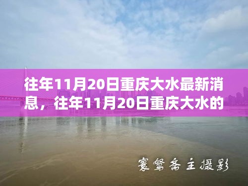 往年11月20日重庆大水的最新消息与影响分析