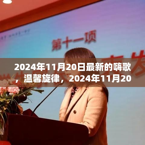 2024年11月20日嗨歌时光，最新温馨旋律来袭