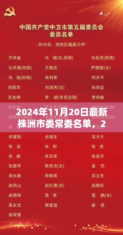 2024年11月20日最新株洲市委常委名单，2024年株洲市委常委最新名单公布，一窥株洲政治新力量