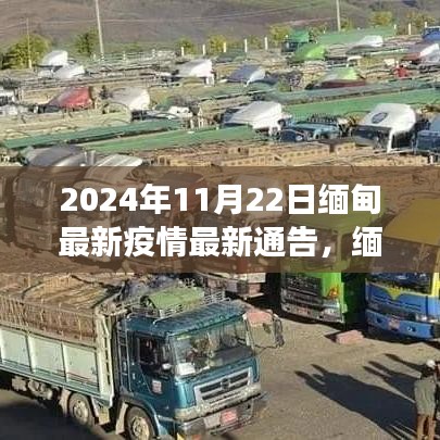 2024年11月22日缅甸疫情最新通告与影响洞察，缅甸疫情新篇章开启