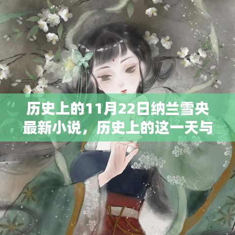 纳兰雪央最新小说，历史与文学的交融之美——探寻历史上的这一天