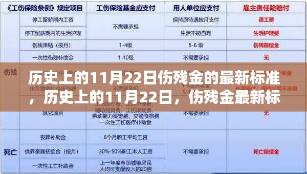 历史上的11月22日伤残金最新标准深度解析与解析报告