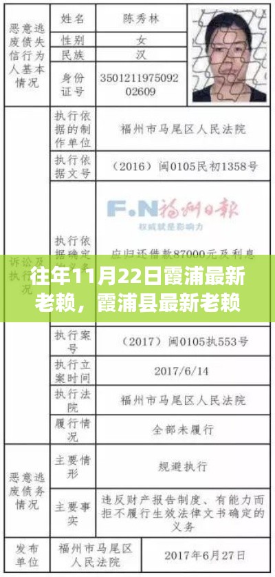 霞浦县最新老赖名单查询指南，步骤详解及往年案例解析