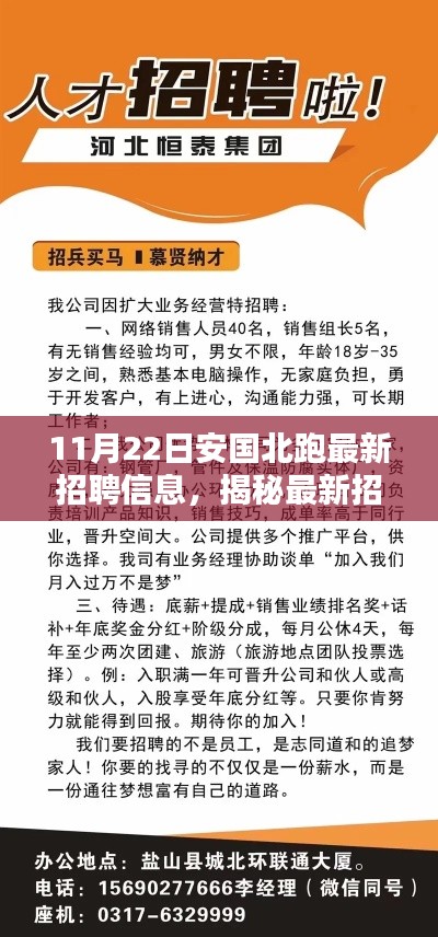 安国北跑最新招聘动态指南（11月22日更新）