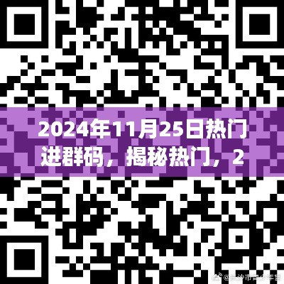 揭秘2024年11月25日热门进群码详解及要点解析