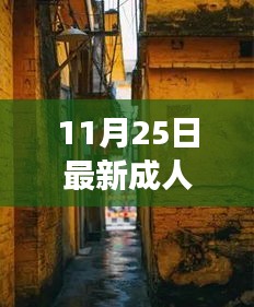 11月25日最新成人在线视频，探秘小巷深处的独特风情，一家隐藏版成人影音小店的故事