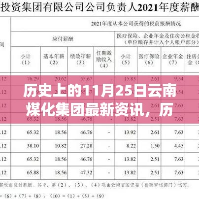 历史上的11月25日，云南煤化集团的演变与最新资讯回顾