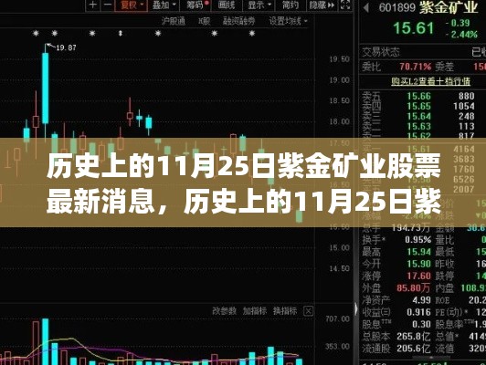 历史上的11月25日紫金矿业股票消息全面评测与介绍