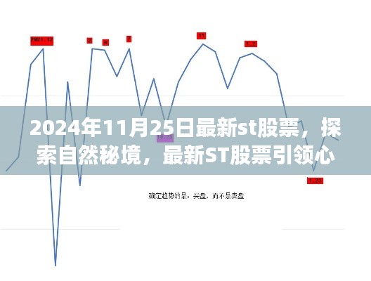 最新ST股票引领心灵探索之旅，启程寻找内心的宁静与喜悦（2024年11月25日）