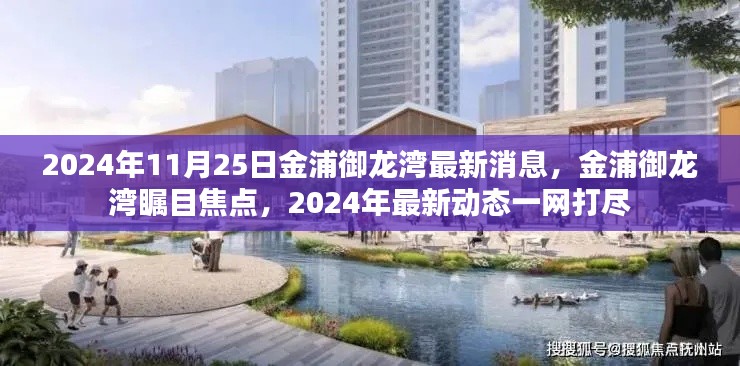 2024年11月金浦御龙湾最新动态与瞩目焦点