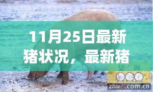 最新猪状况解析与养殖管理指南，掌握猪健康监测技能