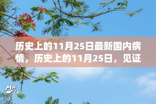 历史上的11月25日，国内疫情变迁见证，自信与成就感的源泉揭秘