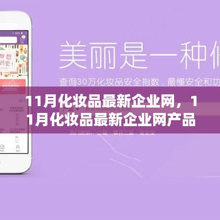 11月化妆品企业网最新动态，产品评测、特性体验、竞品对比及用户群体深度解析