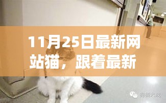 跟随最新网站猫，启程探索自然美景的治愈之旅启动！