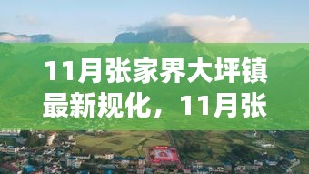 11月张家界大坪镇最新规化，11月张家界大坪镇最新规划观点论述