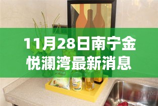 南宁金悦澜湾最新动态揭秘，聚焦11月28日新进展消息速递