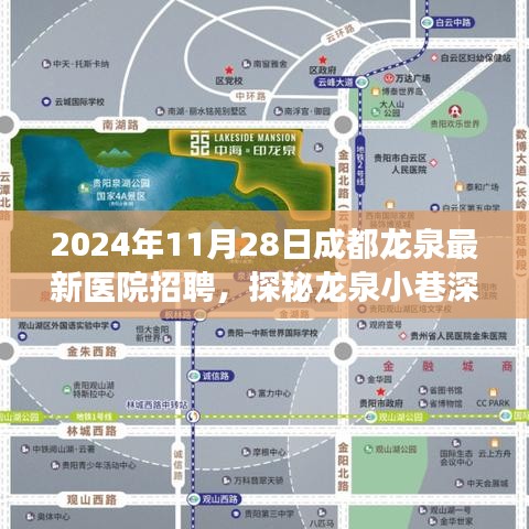 探秘龙泉小巷深处的医疗宝藏，成都龙泉最新医院招聘之旅（2024年11月28日）