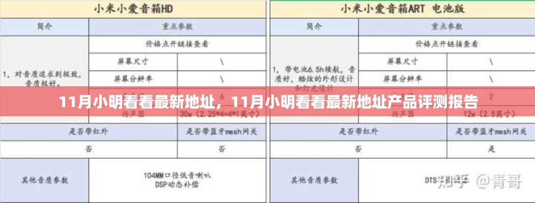 11月小明看看最新地址产品评测报告全解析