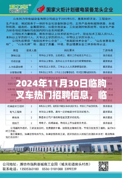 2024年11月30日临朐叉车热门招聘信息，临朐叉车热门招聘信息大揭秘！2024年11月30日最新岗位等你来！