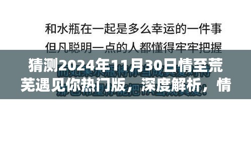 深度解析，情至荒芜遇见你——2024年11月30日的独特体验