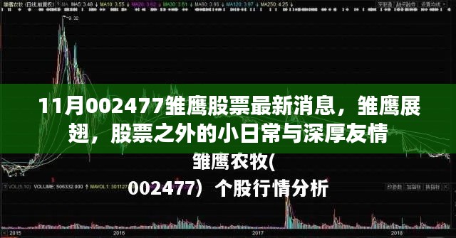 雏鹰股票最新动态，日常与友情的交织