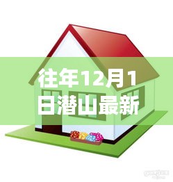 潜山最新房屋出租攻略，往年12月租赁指南与详细步骤解析