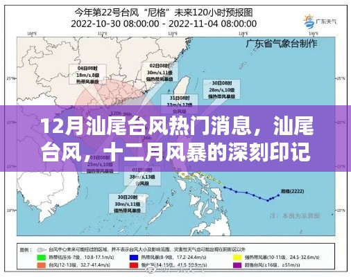 12月汕尾台风最新消息，风暴深刻印记下的城市动态