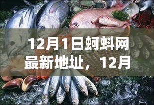 探索蚵蚪网最新动态与特色，最新地址一览（12月更新）