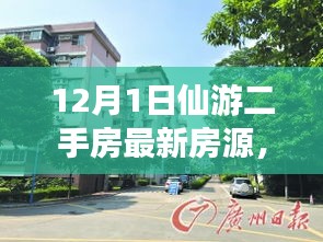 仙游二手房市场深度观察，最新房源动态与影响分析（XXXX年12月版）