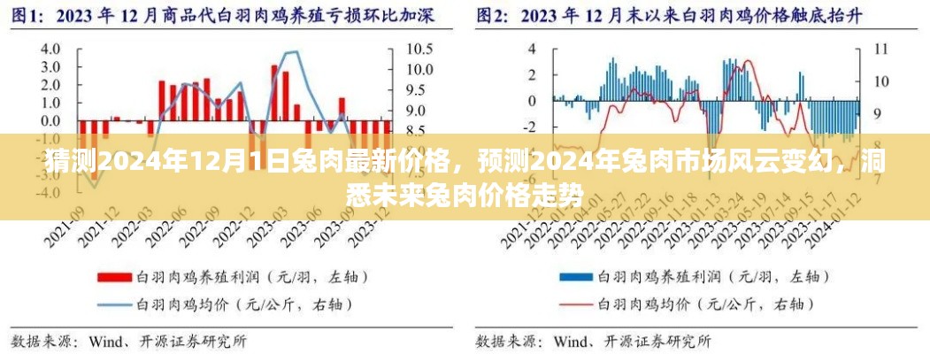 2024年兔肉市场风云变幻，预测兔肉最新价格走势与市场洞察