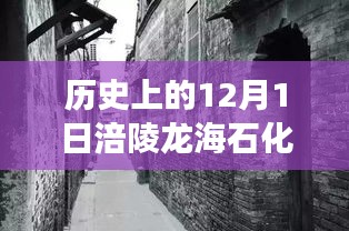 历史上的12月1日涪陵龙海石化最新消息，探秘小巷深处的涪陵龙海石化，12月1日的最新石化传奇与隐藏美食