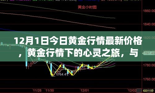 黄金行情下的心灵之旅，探寻内心宁静宝藏与自然的共舞