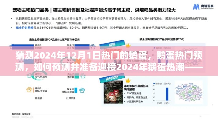 2024年鹅蛋热潮预测与准备，从初学者到进阶用户的指南