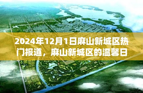 麻山新城区温馨日常，阳光故事2024年12月1日