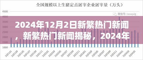 揭秘新繁热门新闻背后的故事，2024年12月2日最新动态