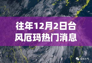 台风厄玛来袭，友情故事与温馨日常的交织