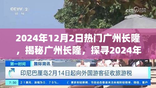 揭秘广州长隆，探寻魅力热点，2024年12月2日的盛大盛事