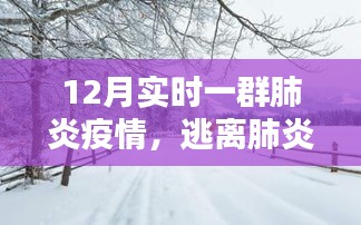 十二月肺炎疫情下的温暖逃离，与自然美景共舞在十二月的怀抱中