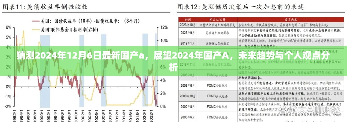 2024年国产A展望与未来趋势分析，个人观点及猜测