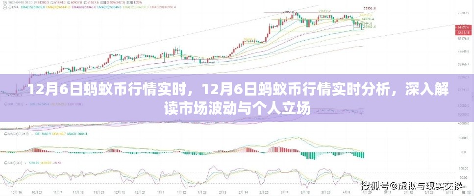 12月6日蚂蚁币行情深度解析，市场波动与个人立场探讨